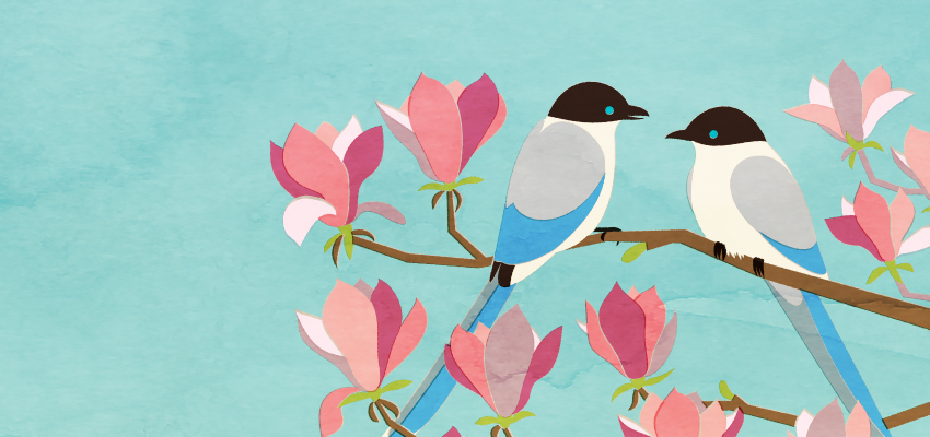 オナガのイラスト